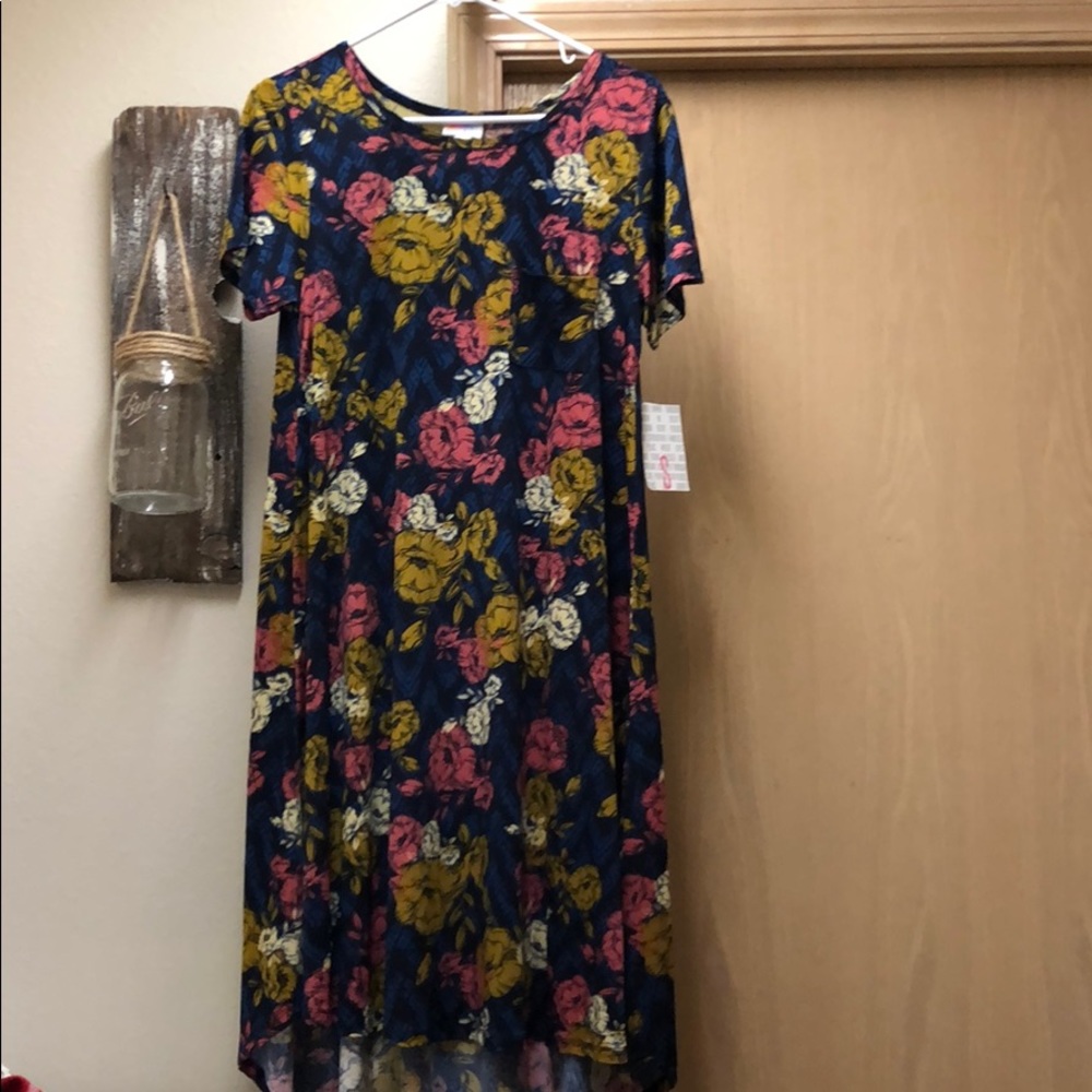 Lularoe Carly dress